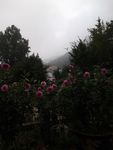 乡村