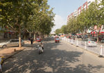 道路 绿化
