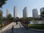 园林城市