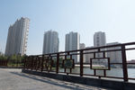 河边高楼