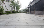 地面道路