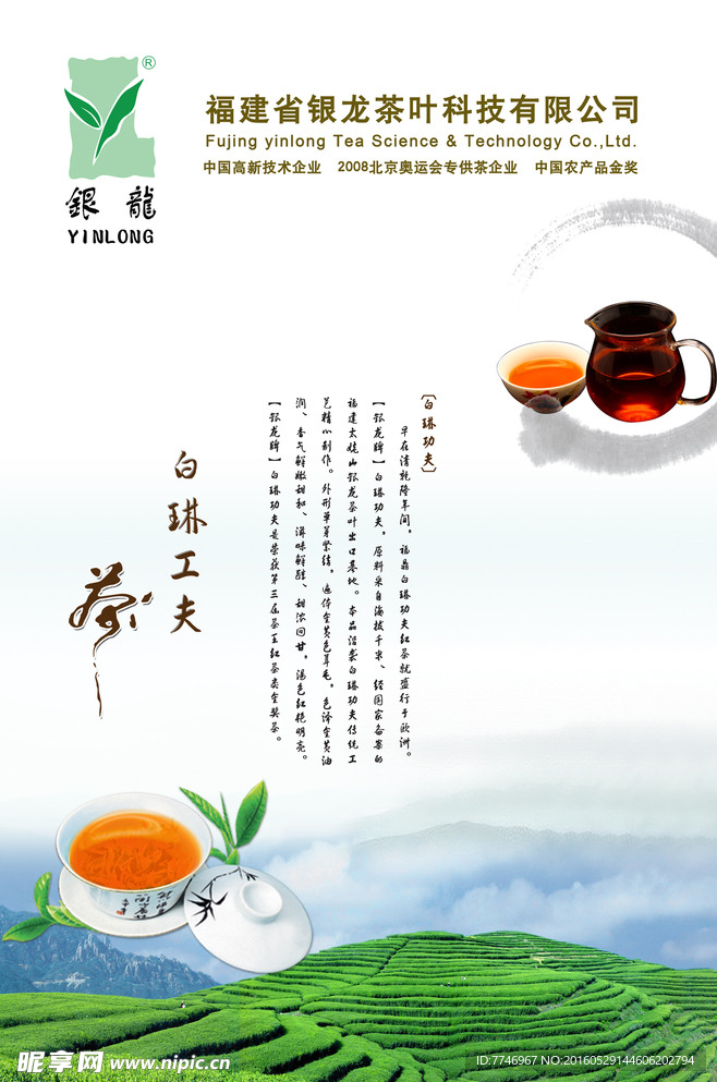 茶叶海报
