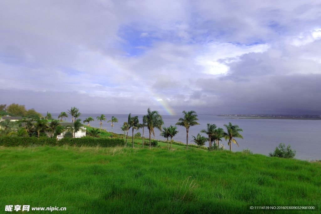 奥克兰海滨风景