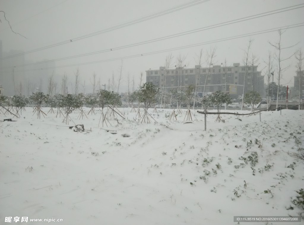 雪景