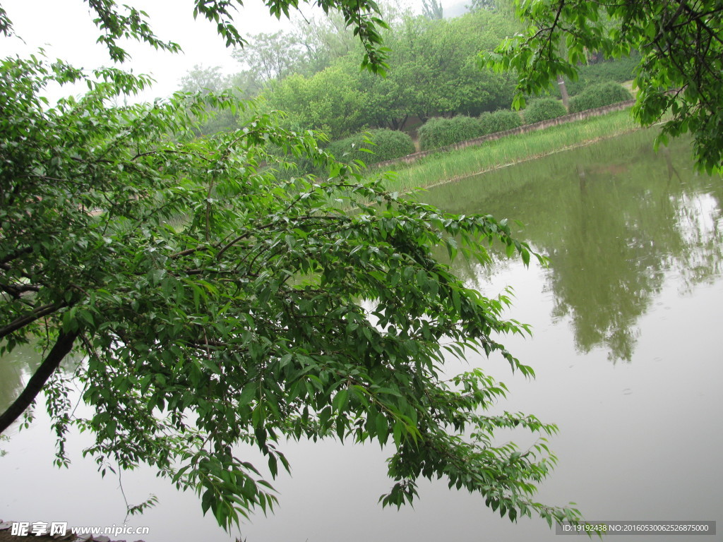 植物园美景