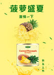 菠萝海报