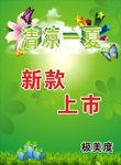 清凉一夏