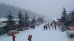 雪乡街景