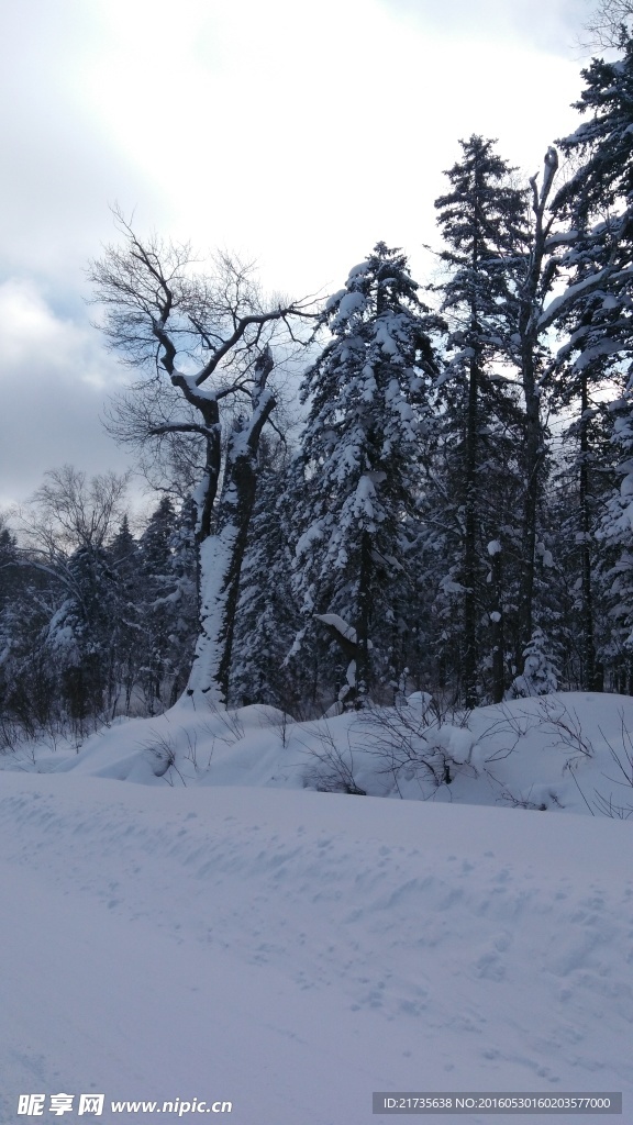 大海林雪乡