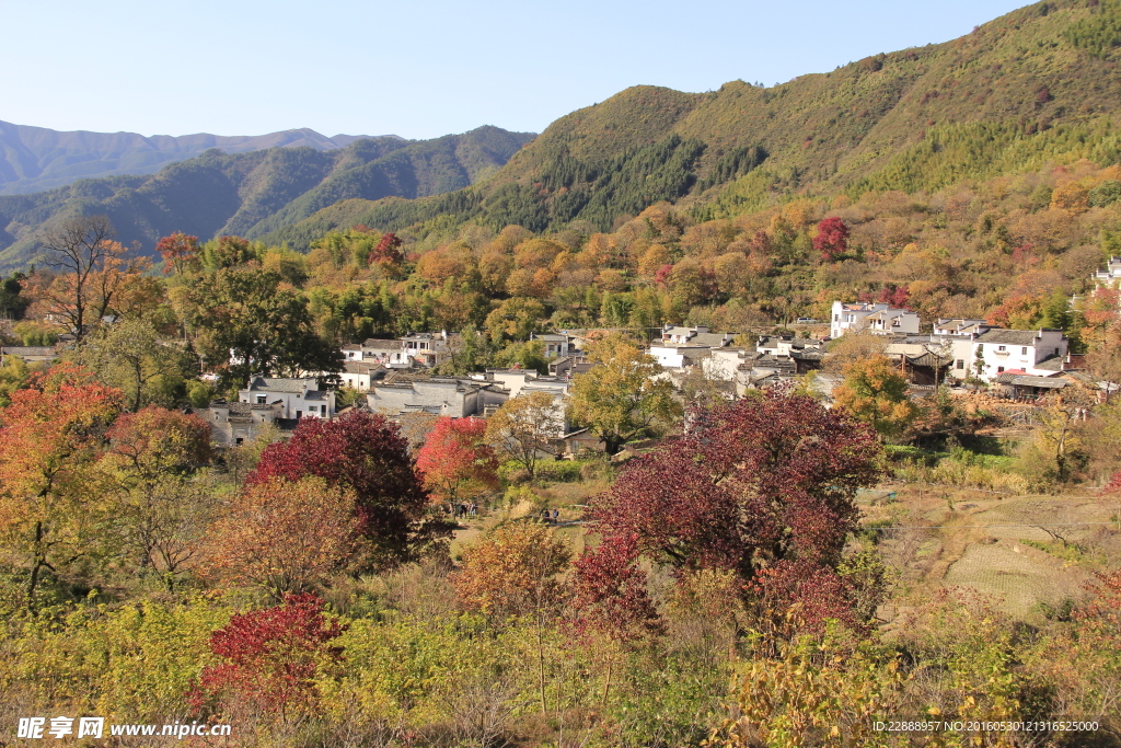 安徽盆地