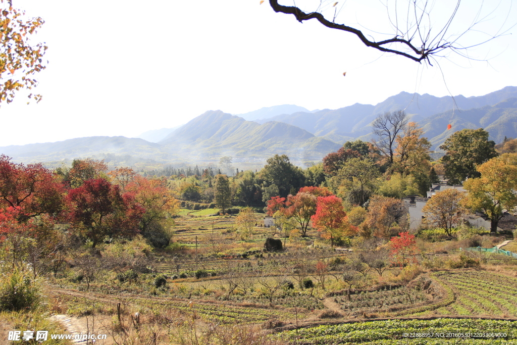 安徽盆地风景