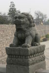 卢沟桥石狮