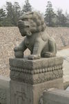 卢沟桥石狮