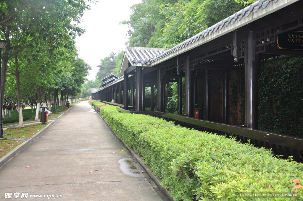 走廊