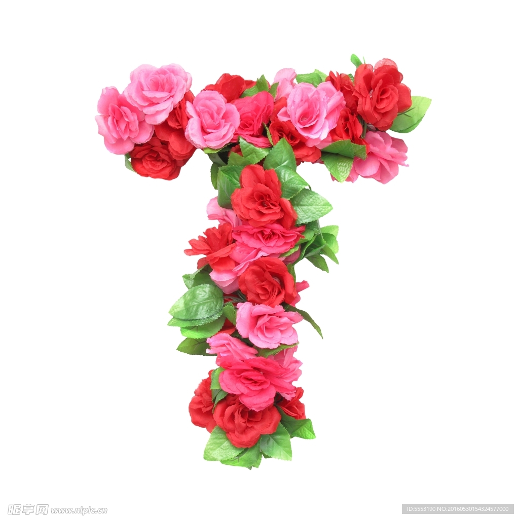 玫瑰花T字母