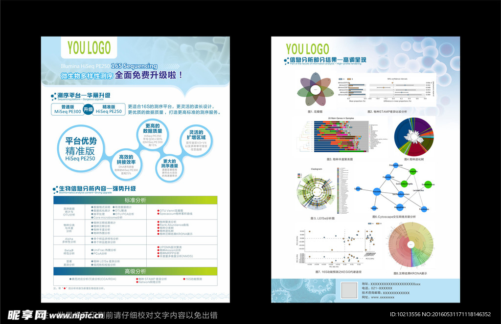 基因DNA微生物多样性单页