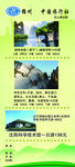 旅行社传单