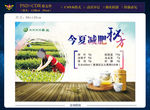 茶楼海报减肥秘方