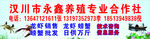门头