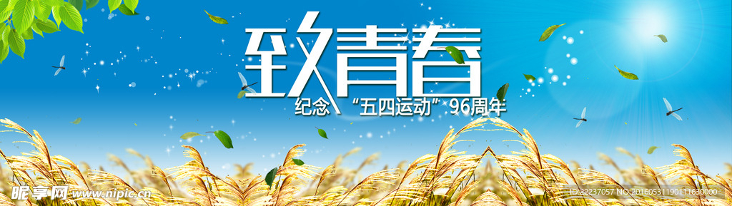 网页图片