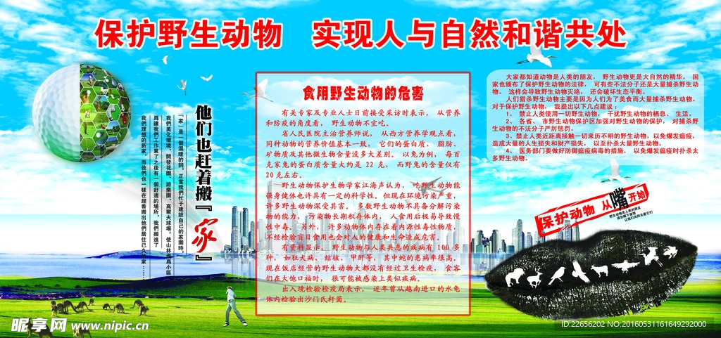 保护野生动物
