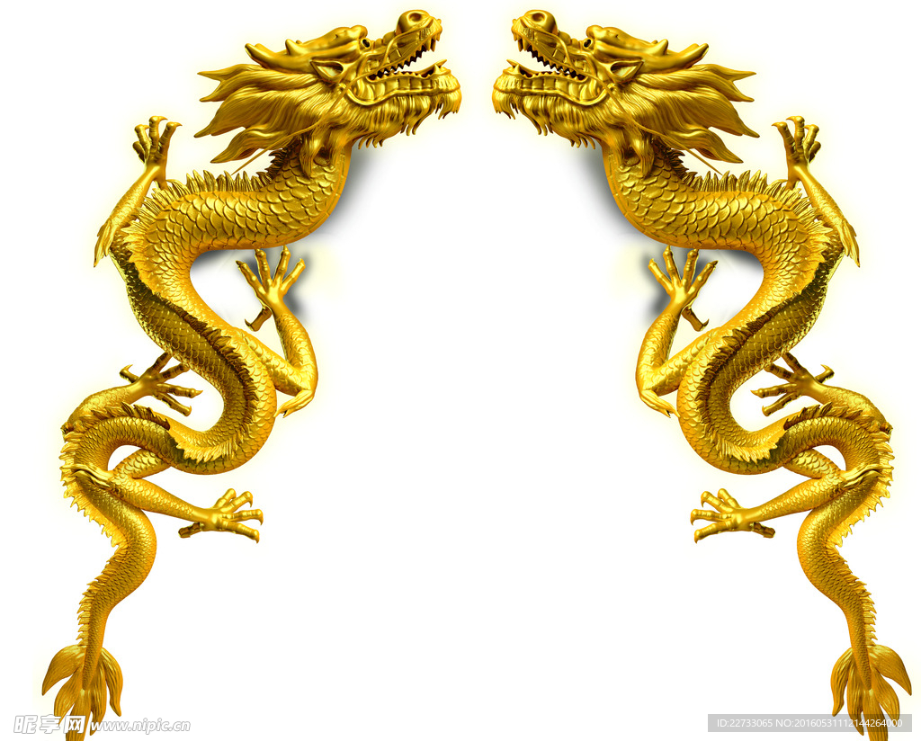 金龙ps素材