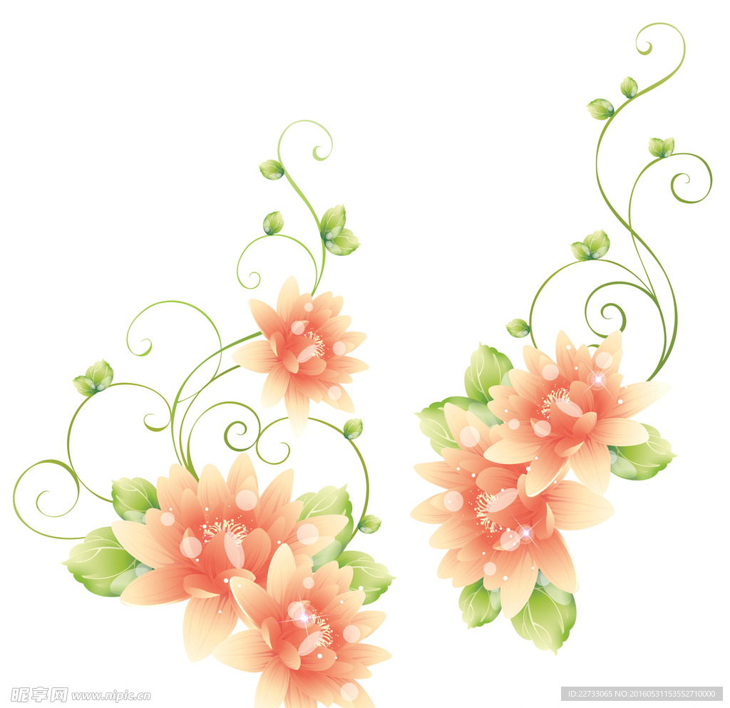 漂亮的鲜花素材PSD