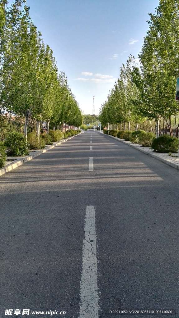 马路