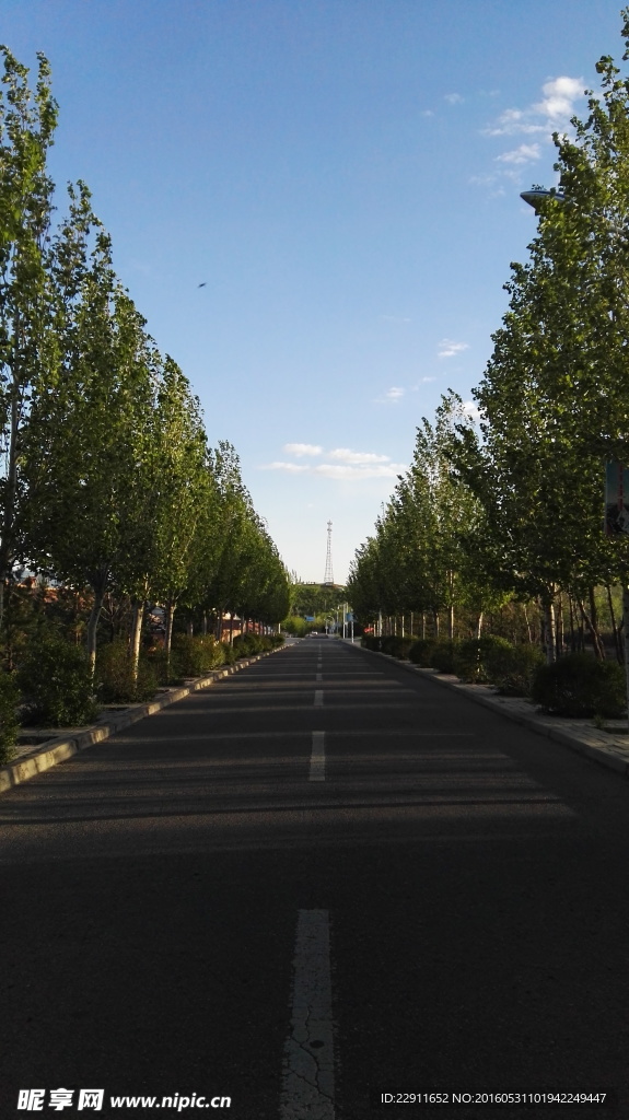 路