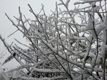 雪景