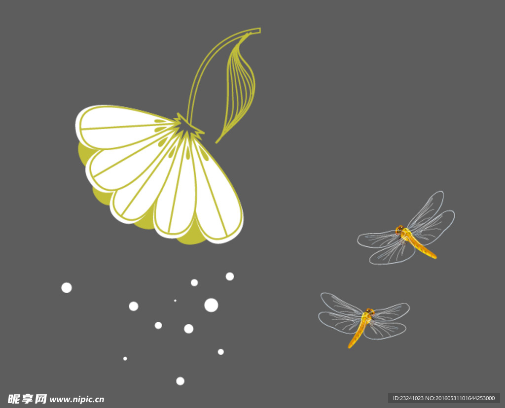 白色花朵 蜻蜓