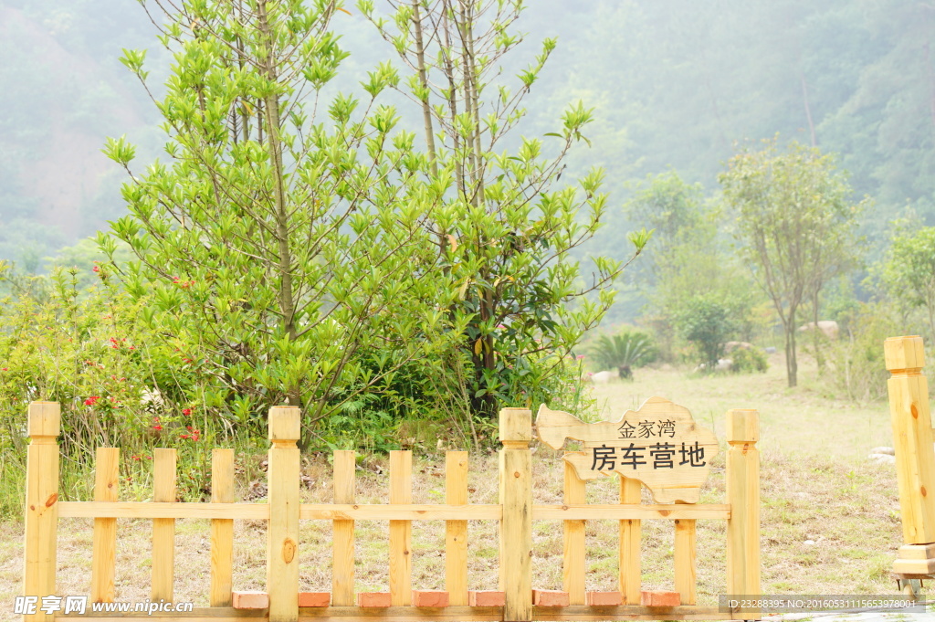 金家湾