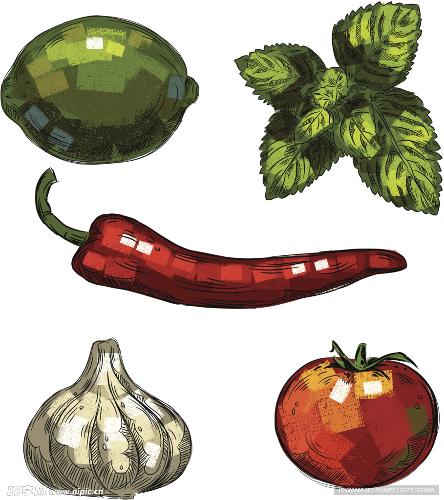 蔬菜 插画