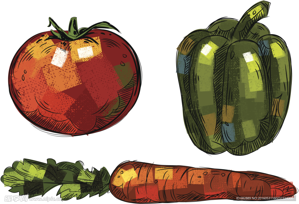 蔬菜 插画