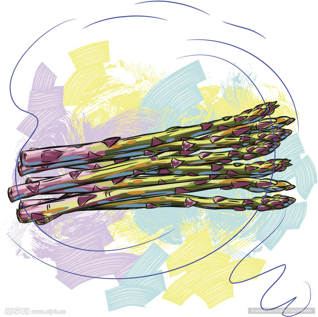 蔬菜 插画