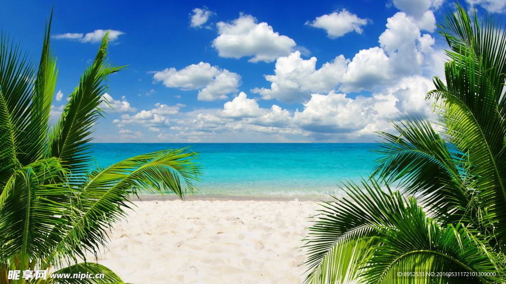 海滩
