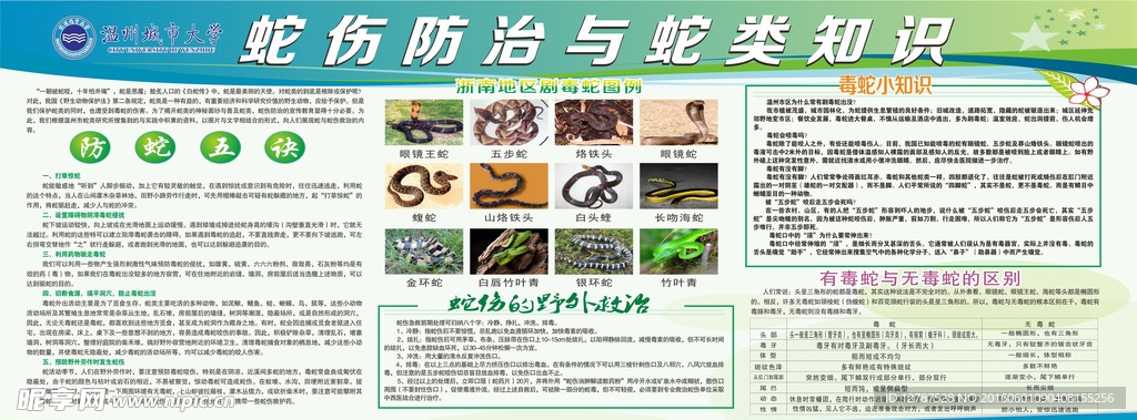蛇伤防治 蛇类知识