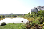 吉安螺湖湾湿地公园