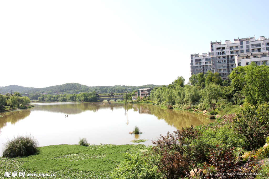 吉安螺湖湾湿地公园