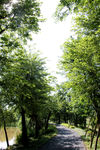 吉安螺湖湾湿地公园