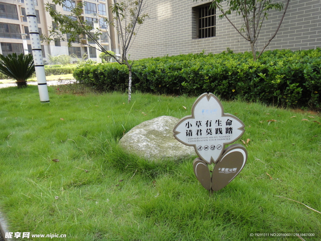 吉安宾馆草地