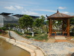 吉安兴桥苗圃基地