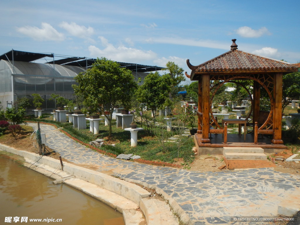 吉安兴桥苗圃基地