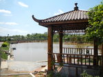吉安兴桥苗圃基地