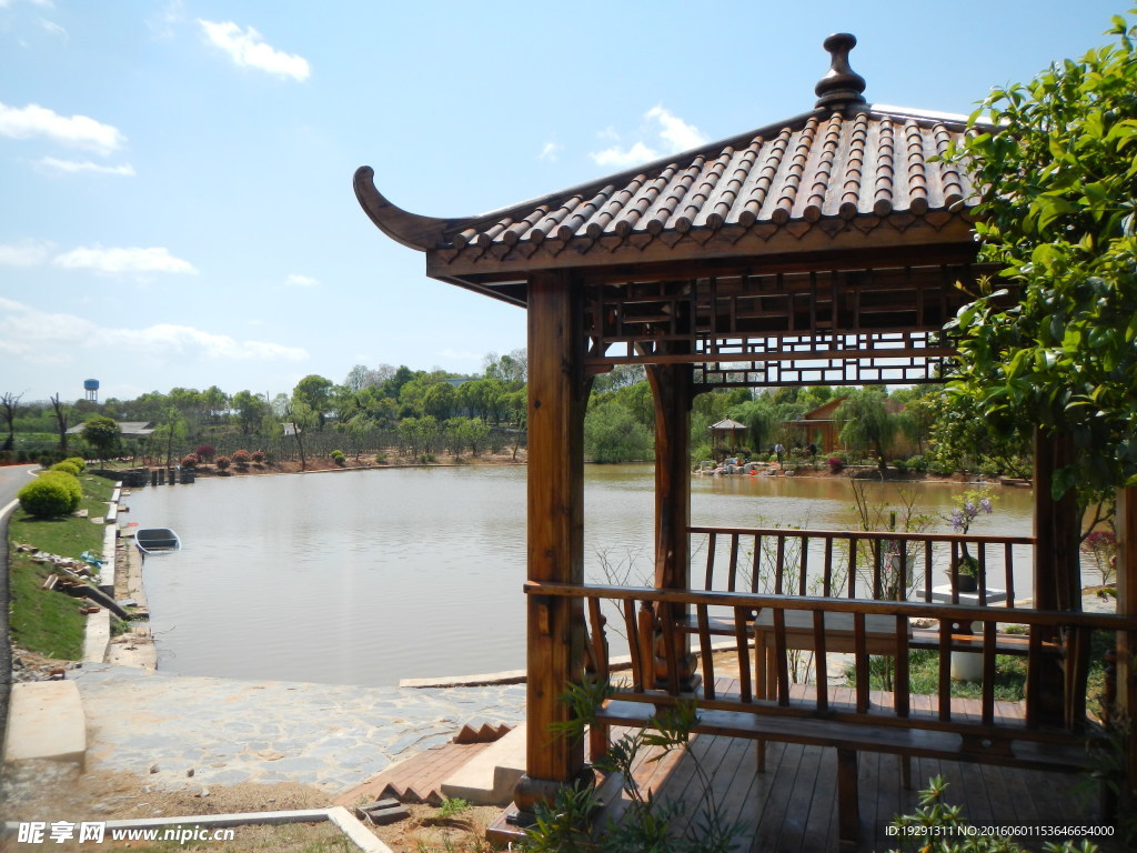 吉安兴桥苗圃基地
