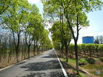 吉安兴桥苗圃基地