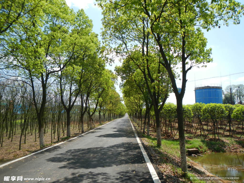 吉安兴桥苗圃基地