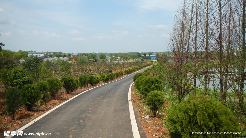 吉安兴桥苗圃基地