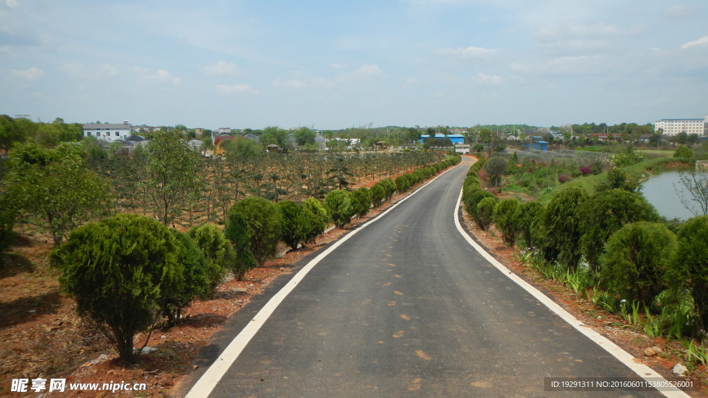 吉安兴桥苗圃基地