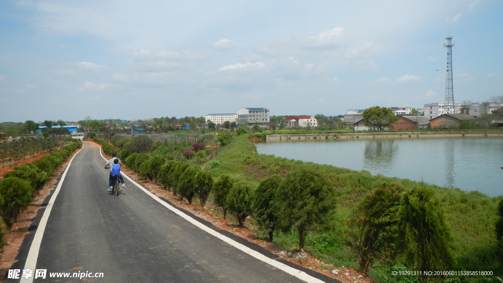 吉安兴桥苗圃基地